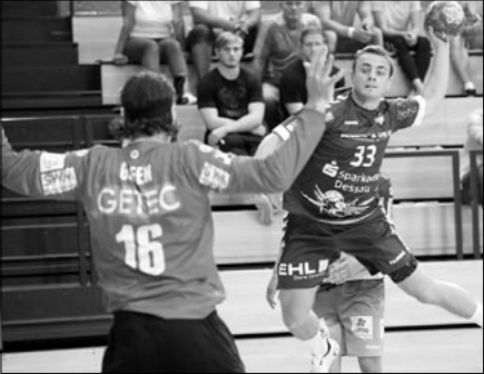 házenkáři